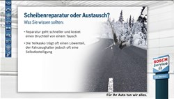 Vorschau: bs steinschlag 2018 winterlandschaft